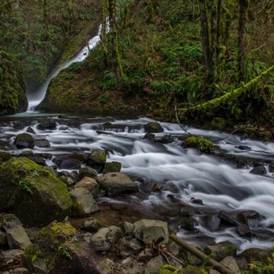 极速赛车游戏下载手机版