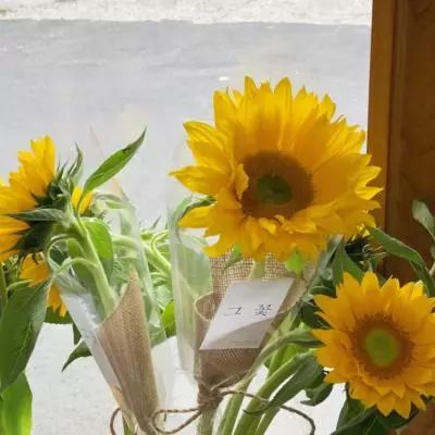 大发国际app下载